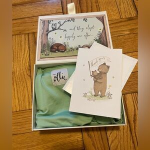 New Ollie swaddle in Meadow (light green)